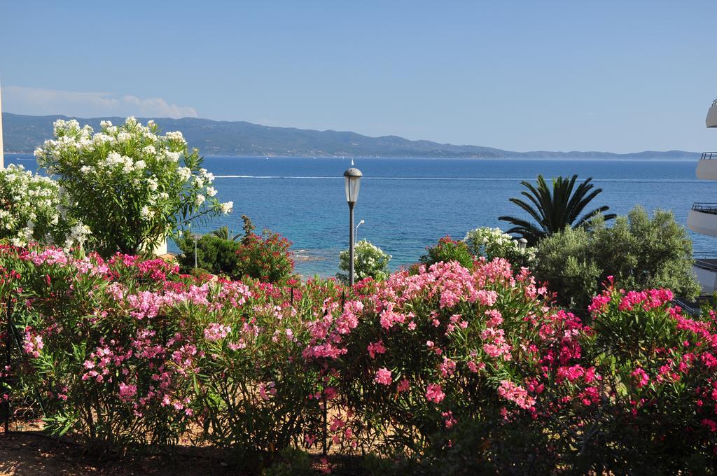 F2 Le Lavezzi Ajaccio (Corsica) Exterior foto