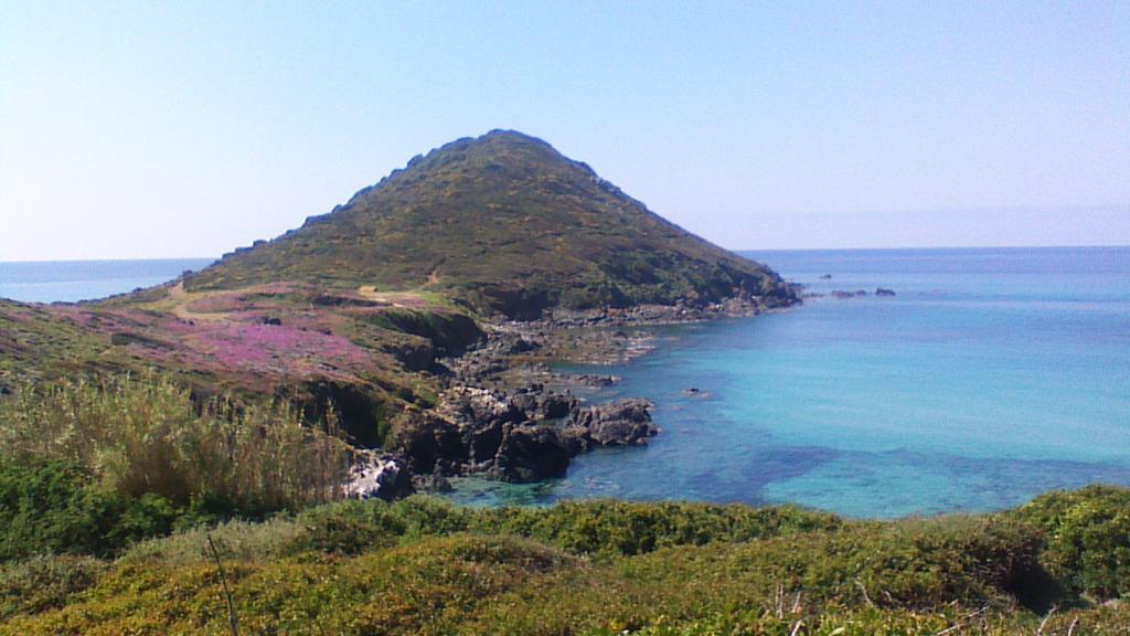 F2 Le Lavezzi Ajaccio (Corsica) Exterior foto