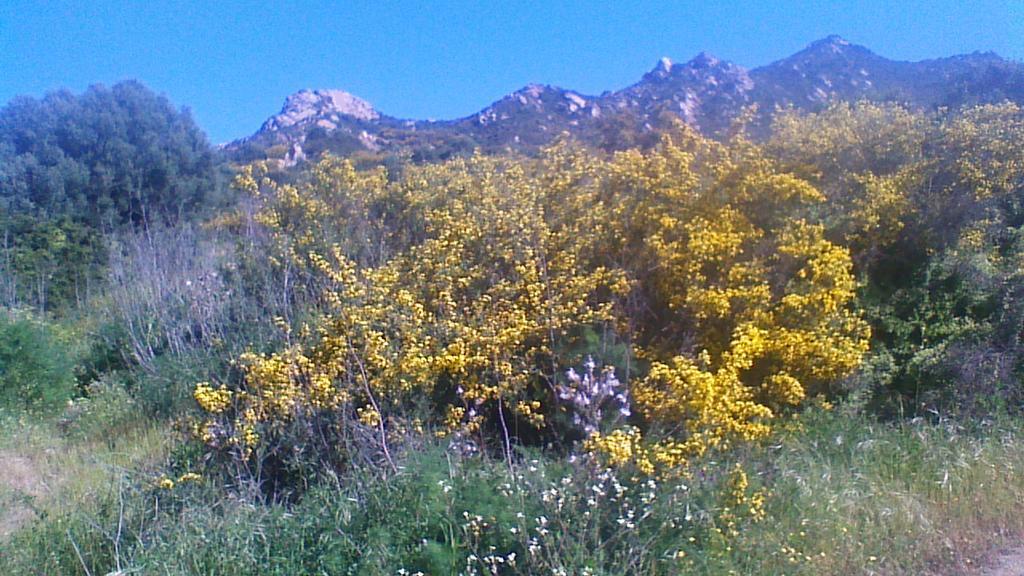 F2 Le Lavezzi Ajaccio (Corsica) Exterior foto